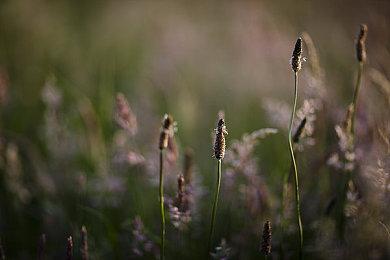 《瘦长鬼影：重制版》今日发售 使用虚幻4引擎
